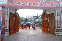 Gallery -  Sankranthi Sambaralu